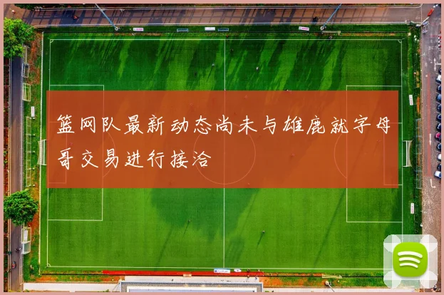 篮网队最新动态尚未与雄鹿就字母哥交易进行接洽